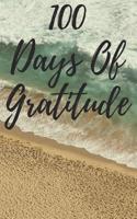 100 Days of Gratitude