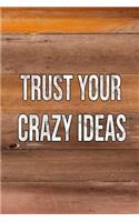 Trust Your Crazy Ideas