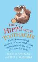 Hippo with Toothache