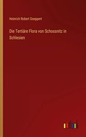 Tertiäre Flora von Schossnitz in Schlesien