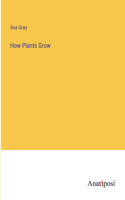 How Plants Grow