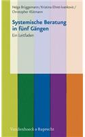 Systemische Beratung in Funf Gangen