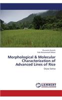 Morphological & Molecular Characterization of Advanced Lines of Rice
