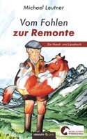 Vom Fohlen zur Remonte