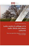 Lutte Contre Le Pillage Et Le Trafic Illicite Des Biens Culturels