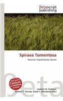 Spiraea Tomentosa: (English)