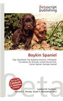 Boykin Spaniel