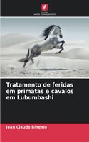 Tratamento de feridas em primatas e cavalos em Lubumbashi