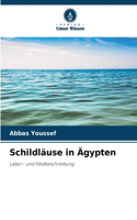 Schildläuse in Ägypten