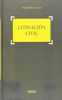 Litigacion civil
