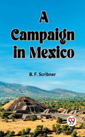 campaign in Mexico