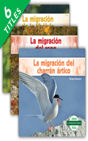 La Migración Animal