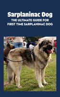 Sarplaninac Dog
