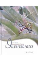 Biology of Invertebrates