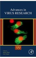 In Loeffler's Footsteps - Viral Genomics in the Era of High-Throughput Sequencing