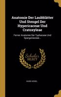 Anatomie Der Laubblätter Und Stengel Der Hypericaceae Und Cratoxyleae