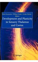 Development and Plasticity in Sensory Thalamus and Cortex