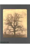 William Henry Fox Talbot