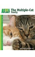 The Multiple-Cat Family