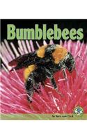 Bumblebees