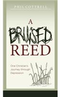 Bruised Reed