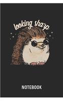 Looking Sharp Notebook