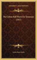 The Cotton Boll Weevil In Tennessee (1917)