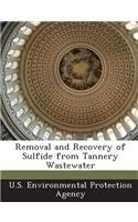 Removal and Recovery of Sulfide from Tannery Wastewater