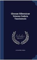 Glossae Hibernicae Veteres Codicis Taurinensis