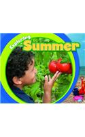 Exploring Summer: (Exploring the Seasons)