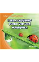I See a Ladybug / Puedo Ver Una Mariquita: (In My Backyard / En Mi Jardín)