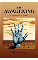 The Awakening