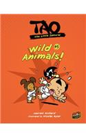 Wild Animals!