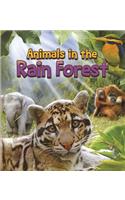 Animals in the Rain Forest