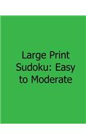 Large Print Sudoku