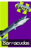 Fantastic Facts about Barracudas: Illustrated Fun Learning for Kids