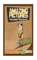 Amazing Pictures and Facts about Meerkats: The Most Amazing Fact Book for Kids about Meerkats