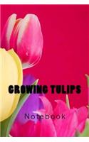 Growing Tulips: Notebook