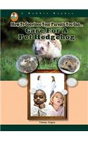 Care for a Pet Hedgehog