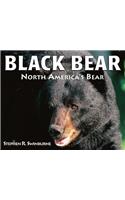 Black Bear