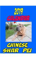 2019 Calendar Chinese Shar Pei: Dog calendar, password log, notes, to do list personal contact and more