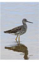 Greater Yellowlegs (Tringa Melanoleuca) Wading Bird Journal: 150 page lined notebook/diary