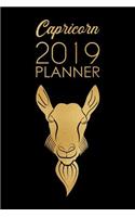 Capricorn Planner: 2019: Zodiac Star Sign: Organizer and Notebook: Modern Design