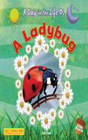 A Ladybug: (A Day in the Life of (Little Acorns))