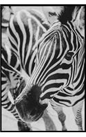 Zebra Composition Notebook