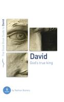 David: God's True King