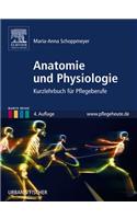 Anatomie Und Physiologie