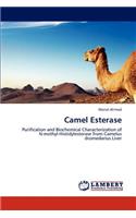 Camel Esterase