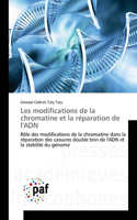 Les modifications de la chromatine et la réparation de l'ADN