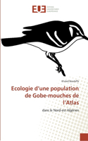 Ecologie d'une population de Gobe-mouches de l'Atlas